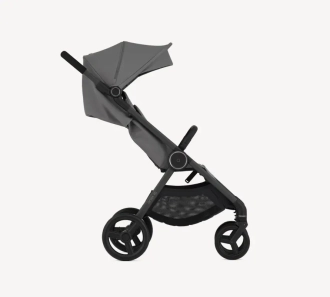 Коляска 2 в 1 Anex IQ Basic Lune/Сірий - Фото 1
