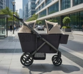 Коляска для двойни 2 в 1 Anex Modu Shea Бежевый