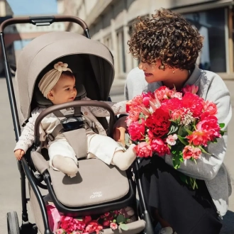 Коляска прогулянкова Britax Römer RIO Soft Taupe/Бежевий - Фото 6