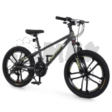 Велосипед 20 д. PROFI EMOTION ET-2001 Сірий