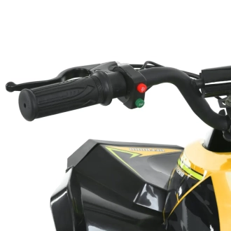 Квадроцикл Bambi Racer HB-EATV1200Q-6ST Жовтий - Фото 2