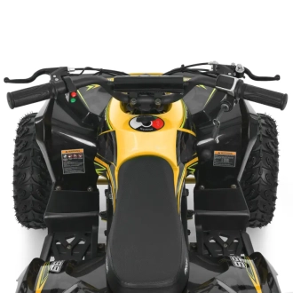 Квадроцикл Bambi Racer HB-EATV1200Q-6ST Жовтий - Фото 3