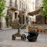 Коляска 2 в 1 Anex Flo Astra/Коричневый